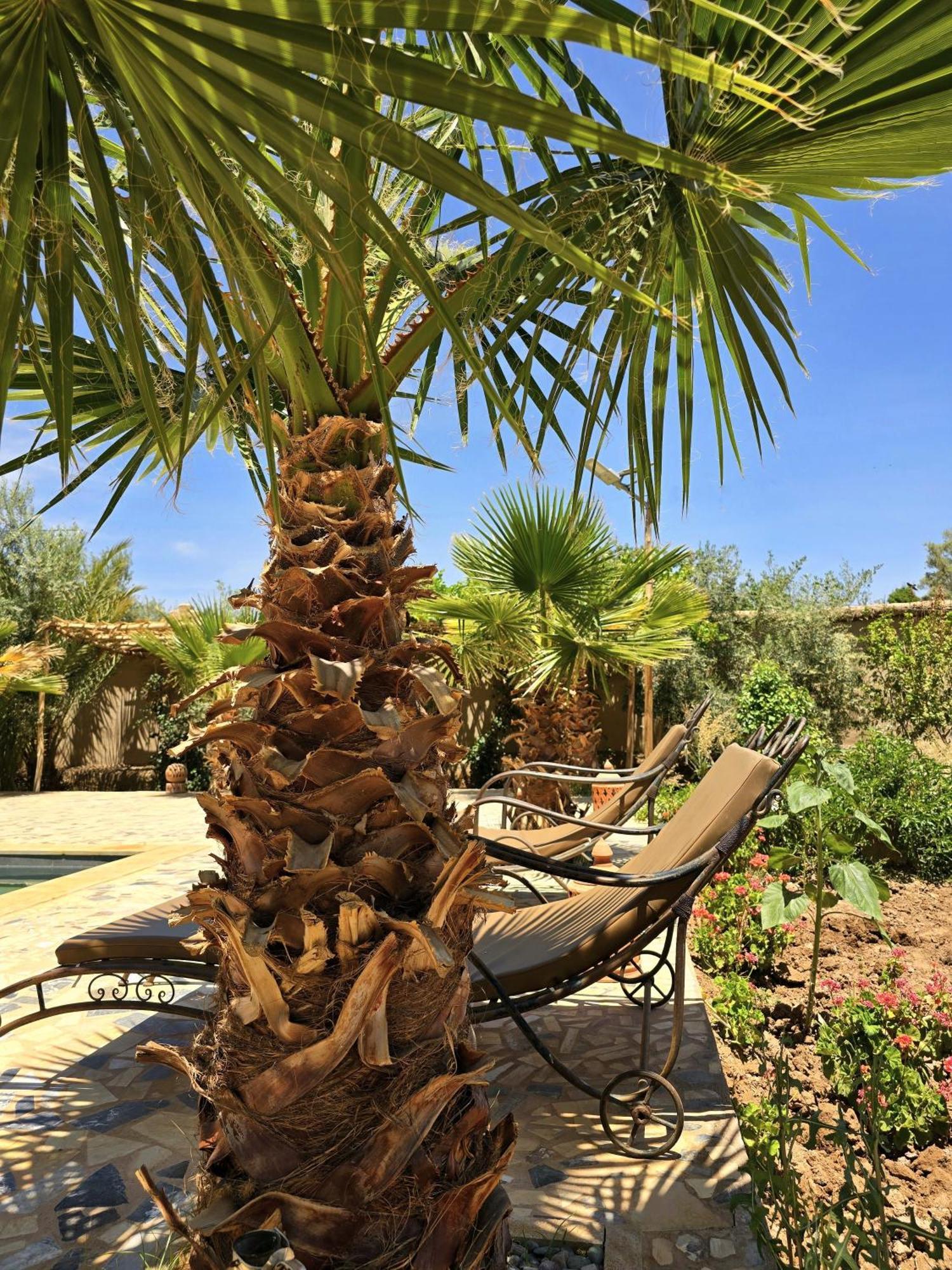 Riad Aman 스쿠라 외부 사진